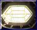 The attrium roof in the Conservation Building